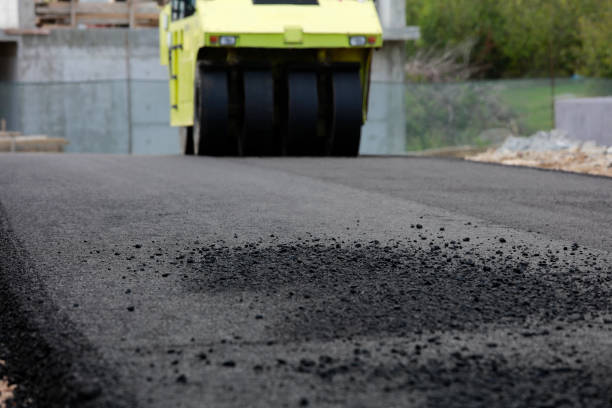Best Residential Paver Driveway  in Aetna Estates, CO