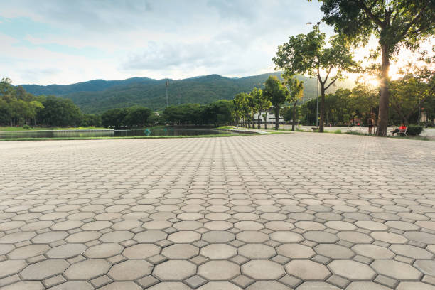 Best Concrete Paver Driveway  in Aetna Estates, CO