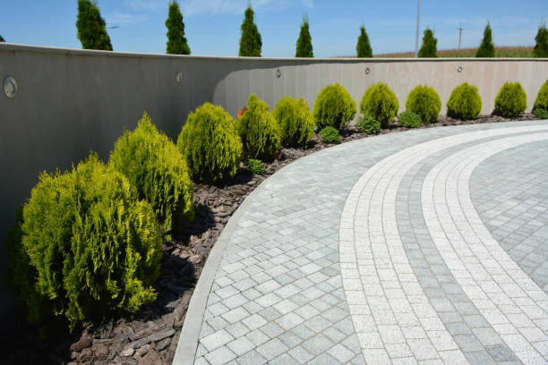 Best Decorative Driveway Pavers  in Aetna Estates, CO